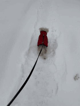 POV walk through the snow